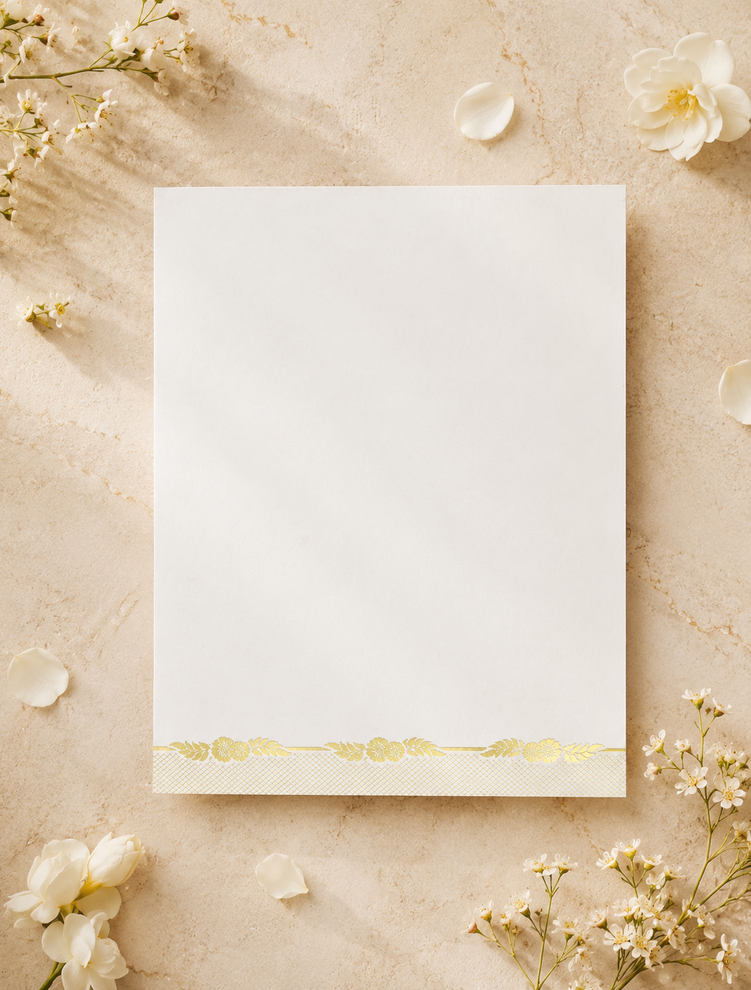 RENOVO 02 — view 3