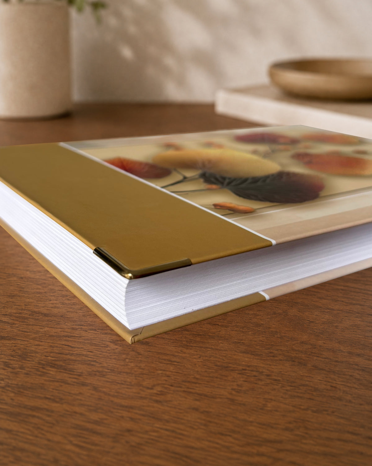 Galaxy 04 Diary 2027