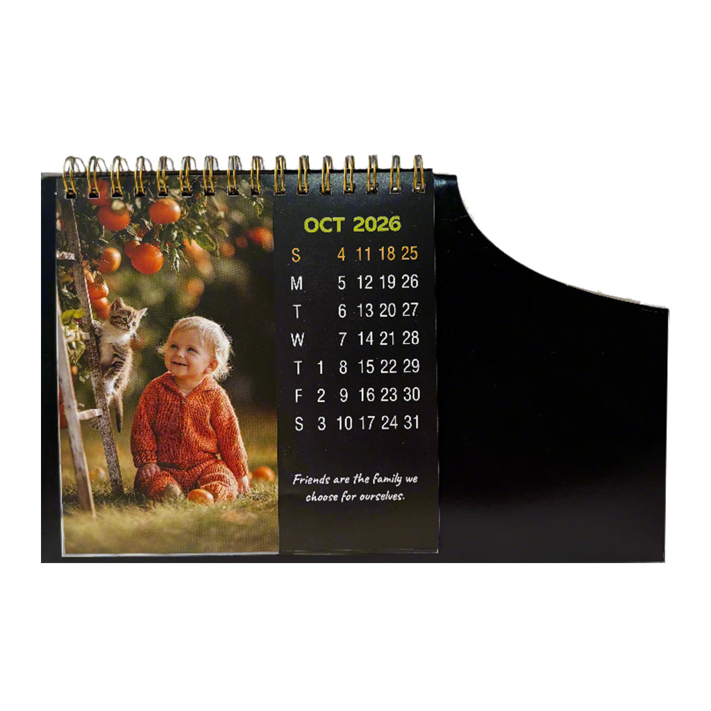 Handy 01-2026 — view 11