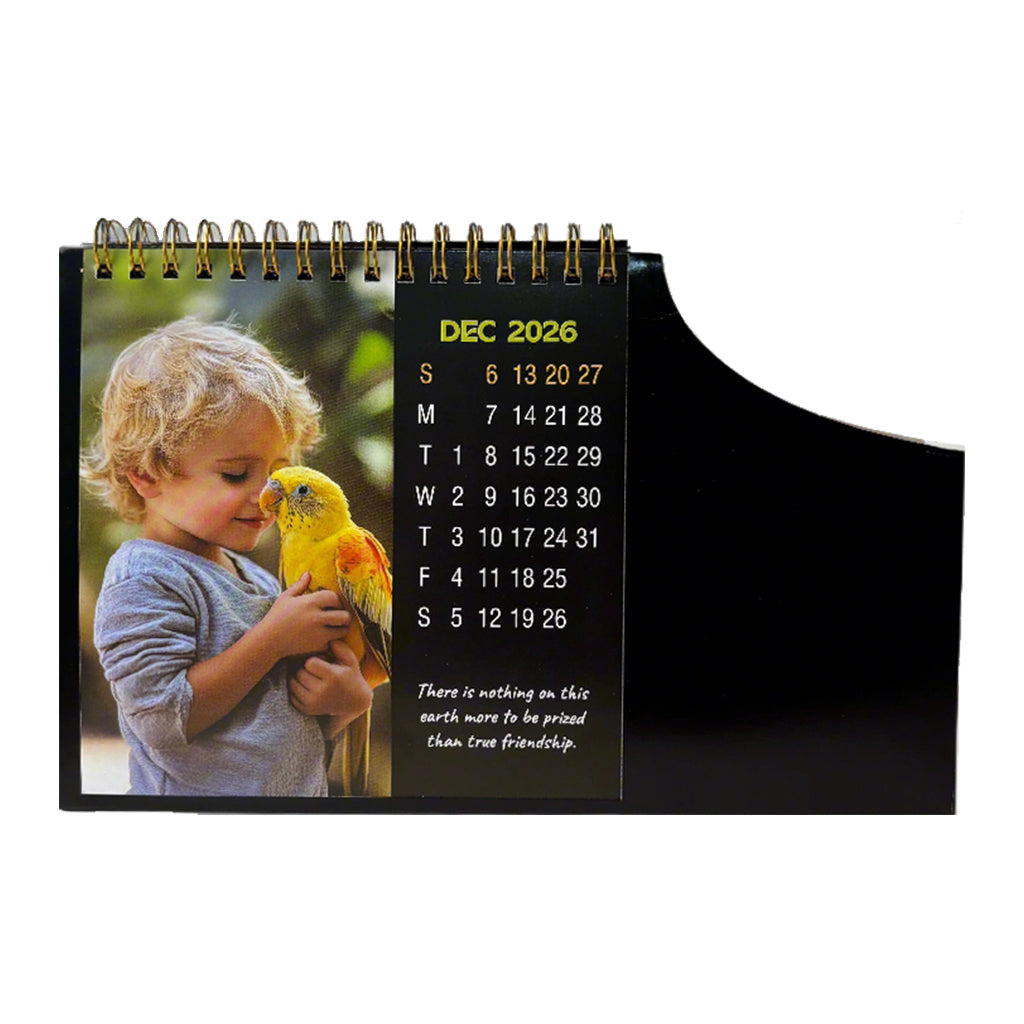 Handy 01-2026 — view 13