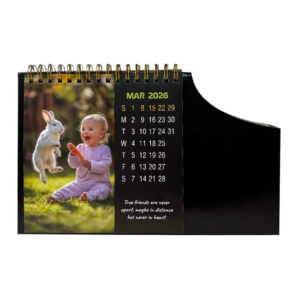Handy 01-2026 — view 4