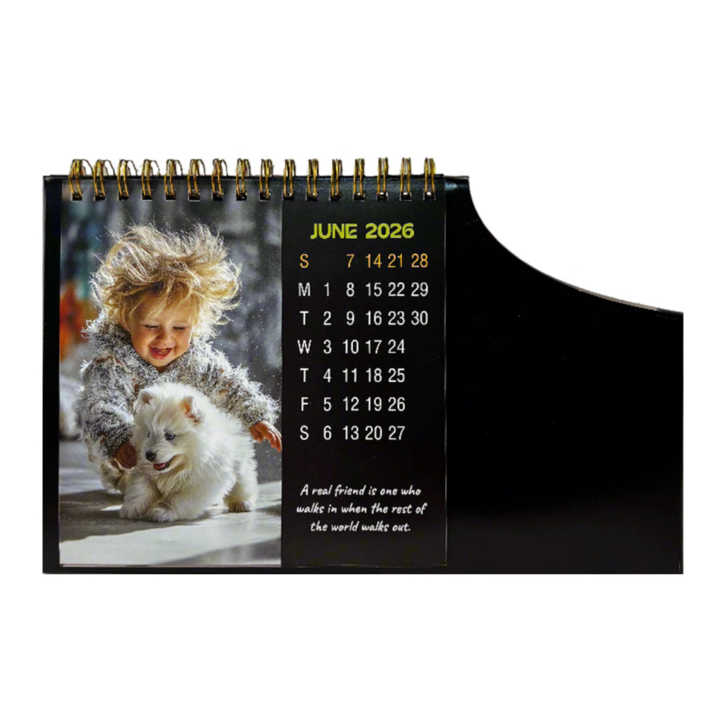 Handy 01-2026 — view 6