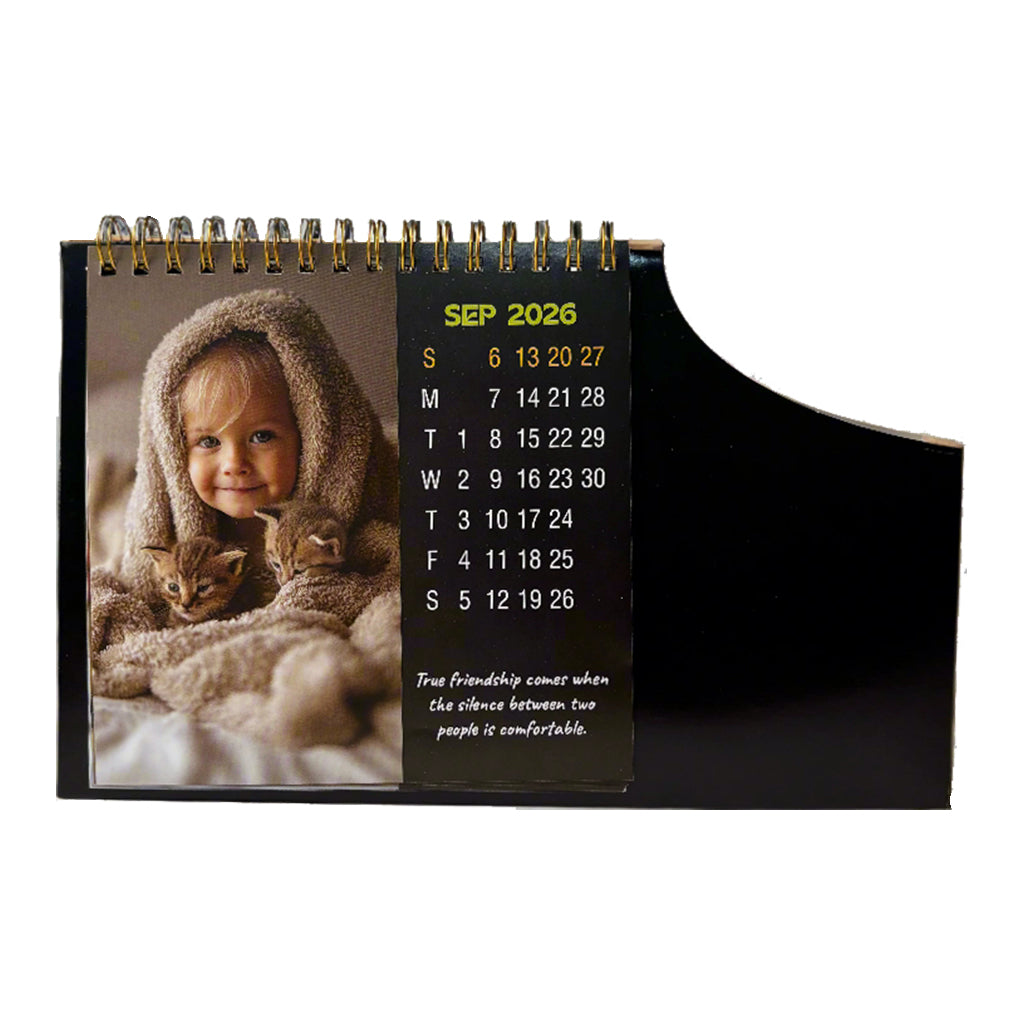 Handy 01-2026 — view 10