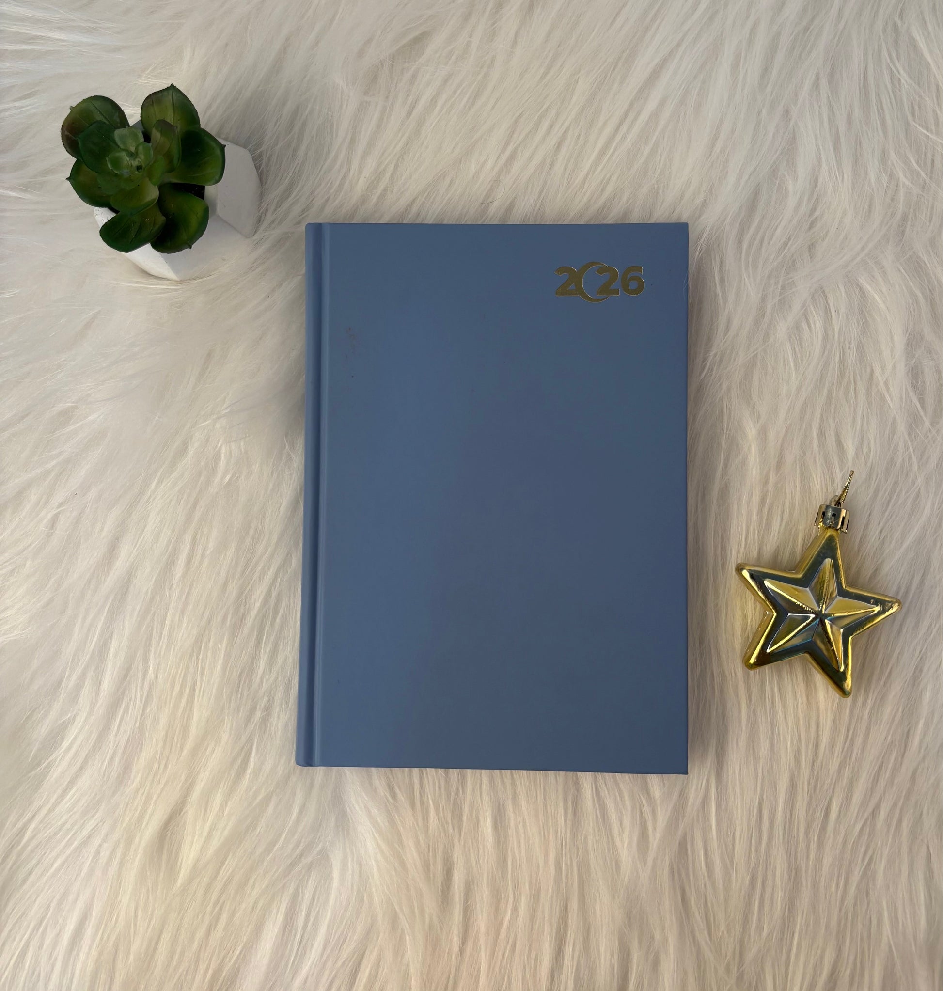 Sleek 03 Diary 2026