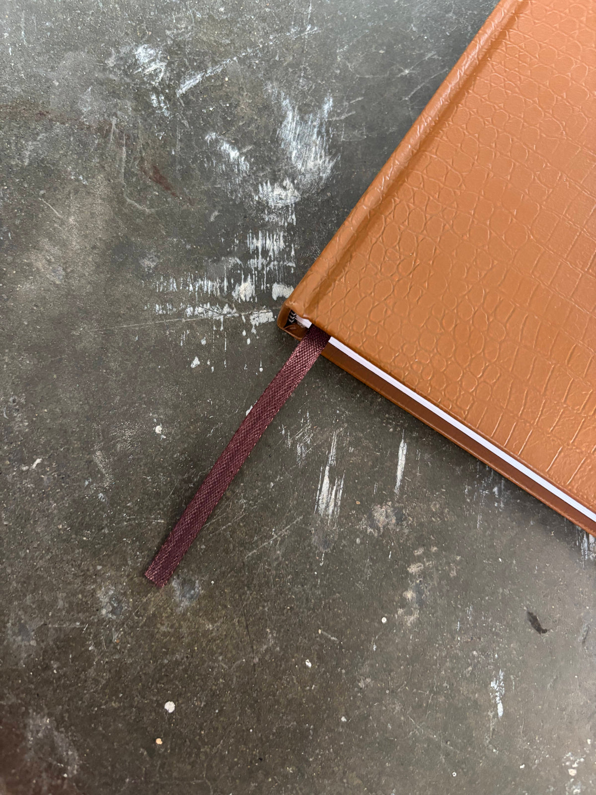 Spring 02 Diary 2027