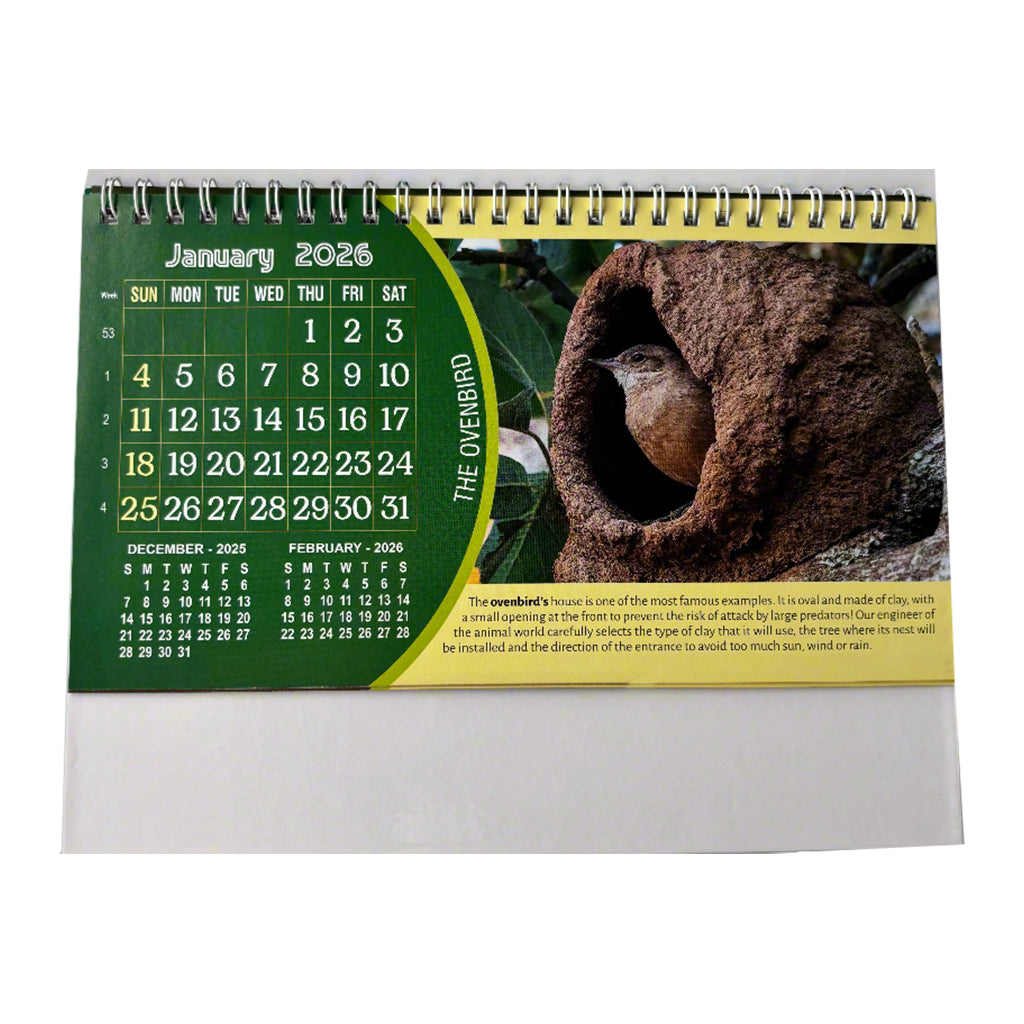 NTL 03 Table Calendar 2026 — view 3