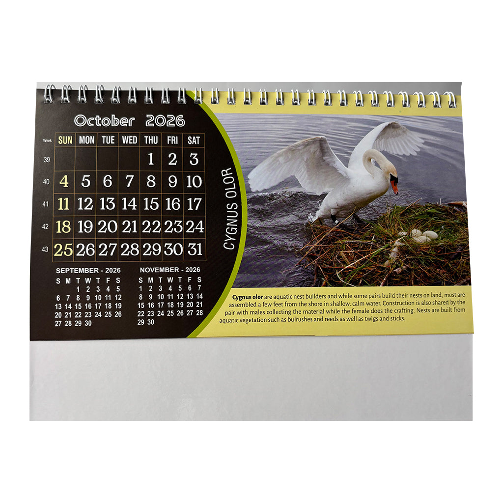 NTL 03 Table Calendar 2026 — view 12
