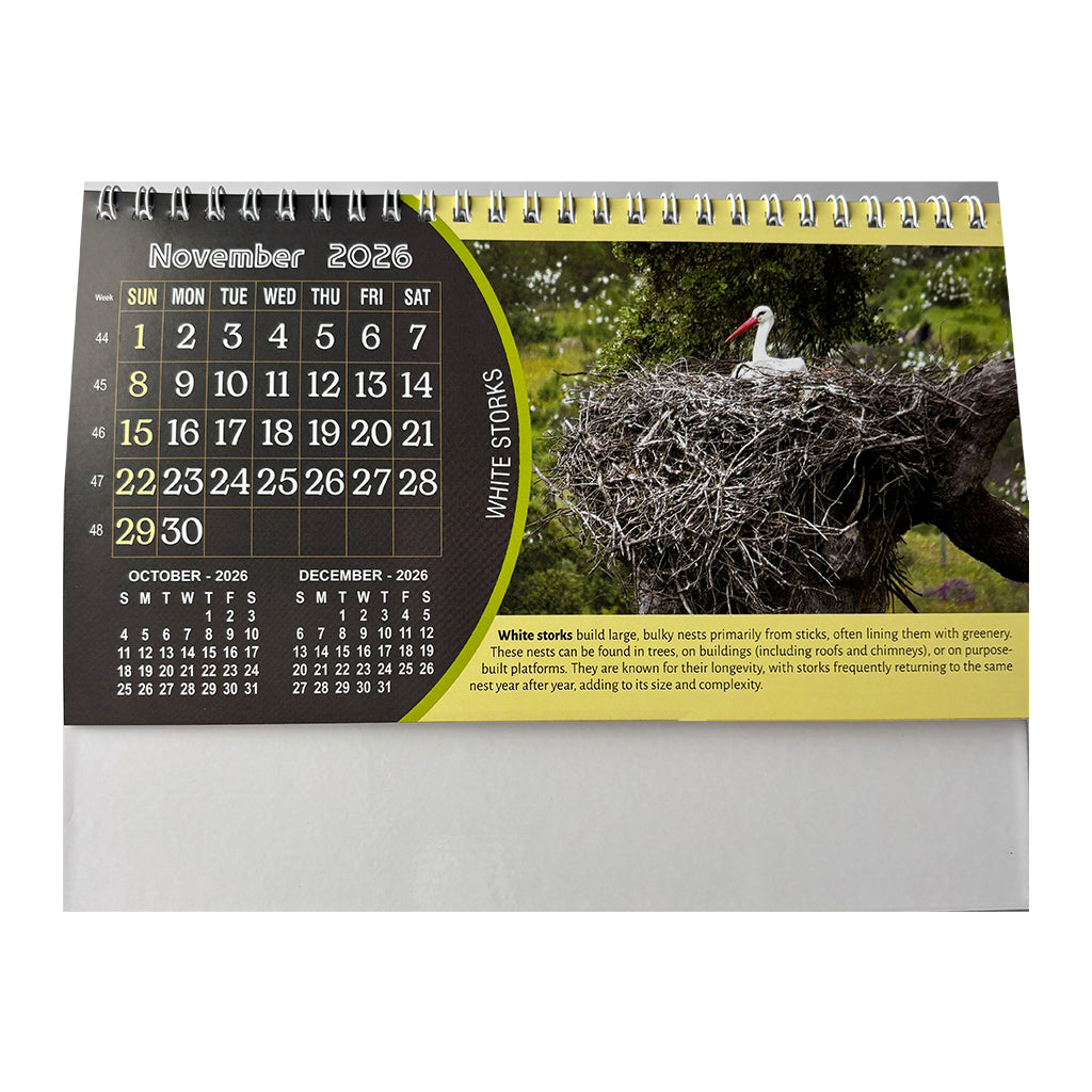 NTL 03 Table Calendar 2026 — view 13