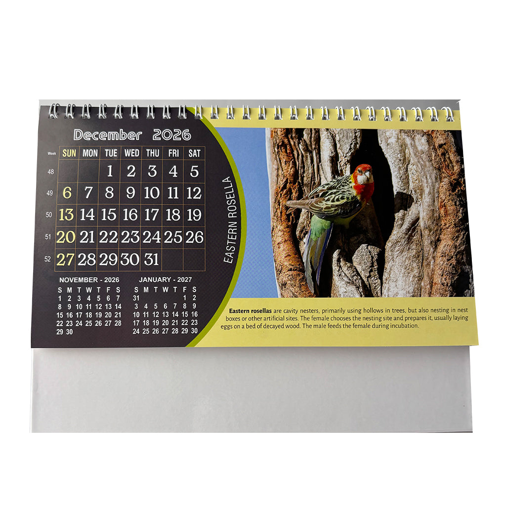 NTL 03 Table Calendar 2026 — view 14