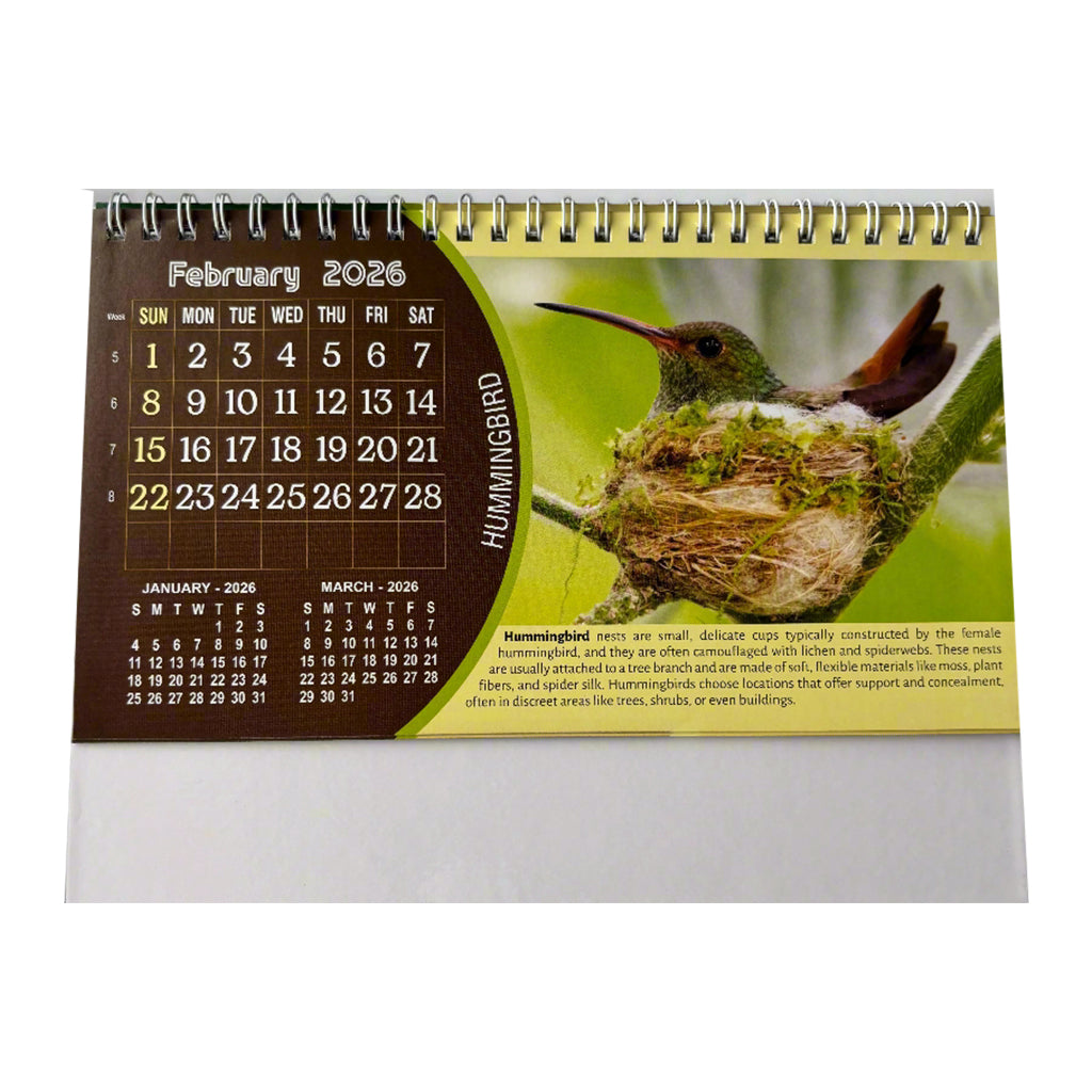 NTL 03 Table Calendar 2026 — view 4