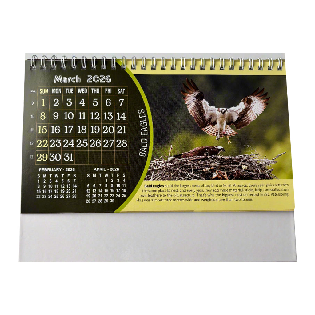NTL 03 Table Calendar 2026 — view 5
