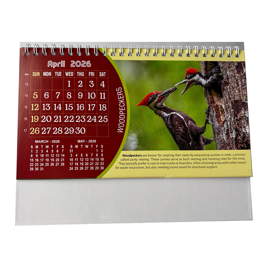 NTL 03 Table Calendar 2026 — view 6