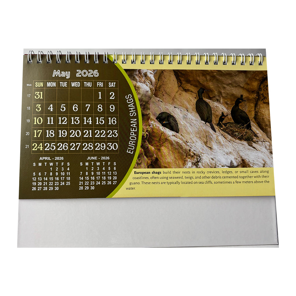 NTL 03 Table Calendar 2026 — view 7