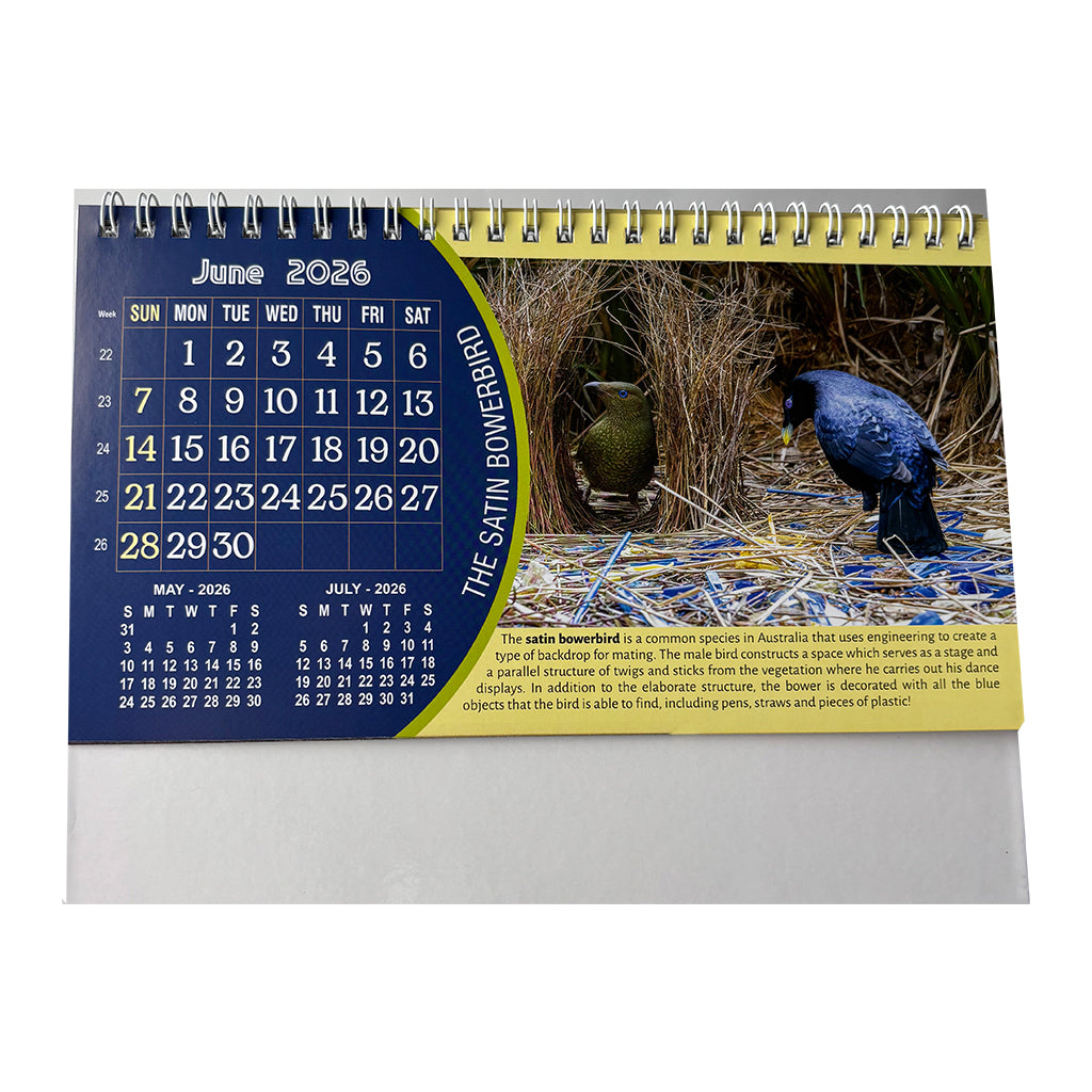 NTL 03 Table Calendar 2026 — view 8