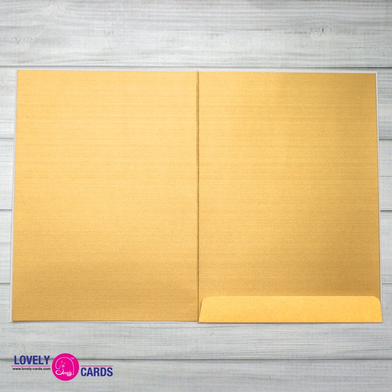 SKY-A21 L.GOLD — view 3